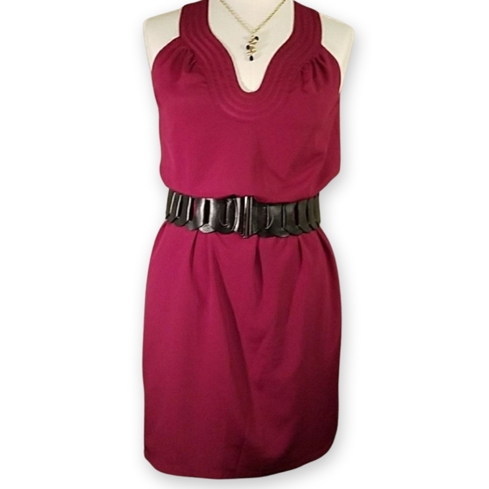 Ann Taylor Loft Raspberry sleeveless dress 2P